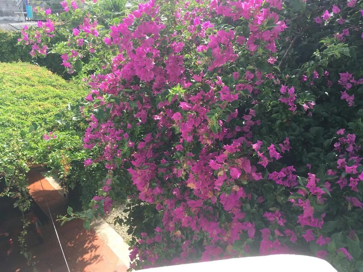 Apartment Charming Very Quiet Center Renewed Playa del Carmen Mexico