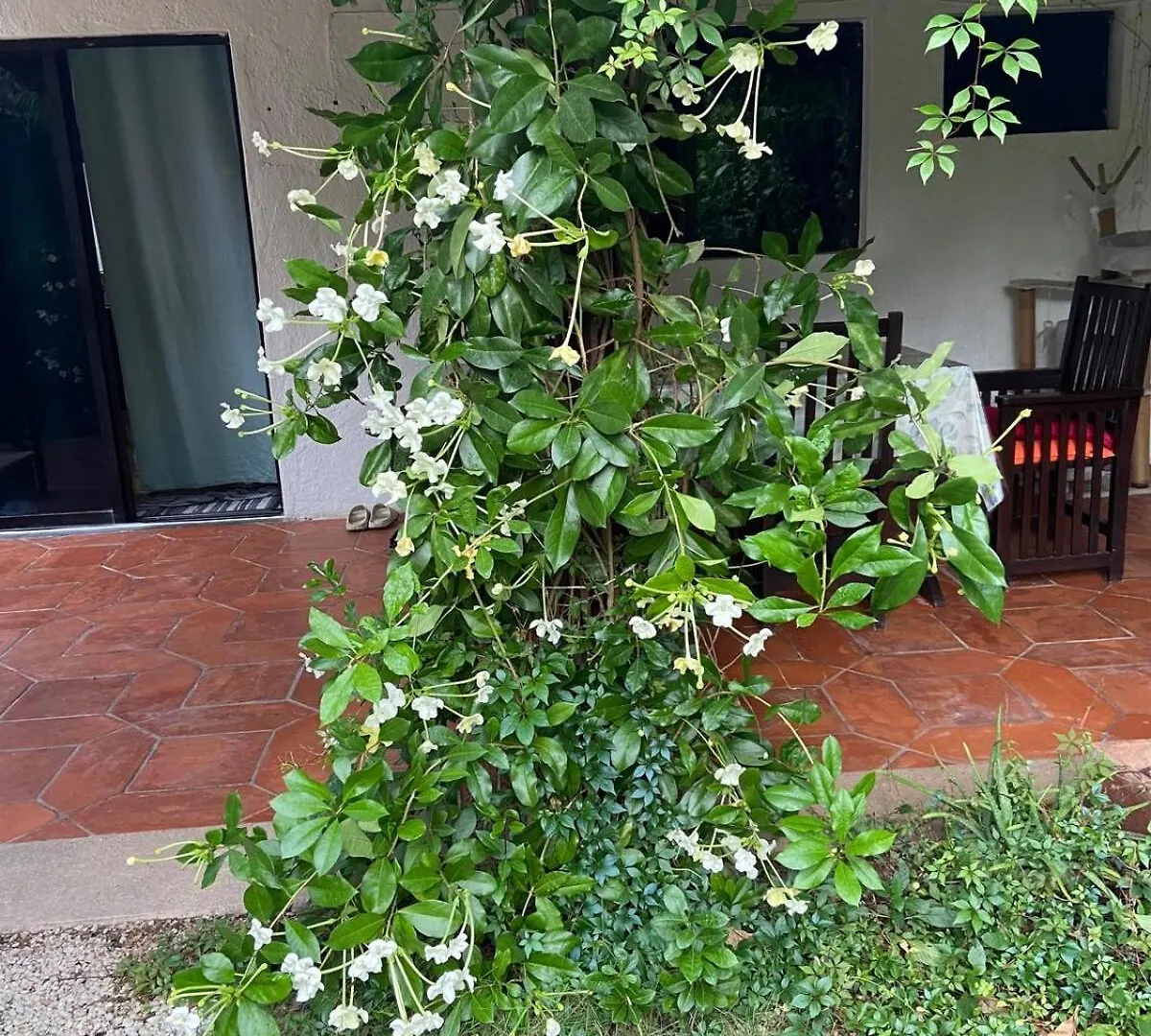 Charming Very Quiet Center Renewed Playa del Carmen Apartment